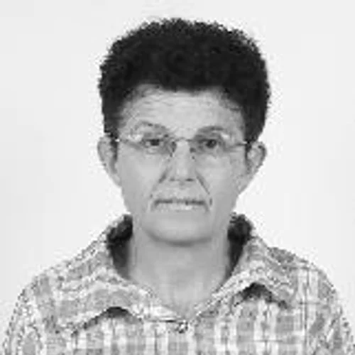 LINA DO ARTESANATO