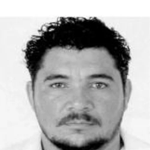 ROBINHO PANTANEIRO