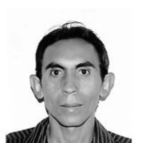 Ligerinho