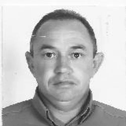 Falcão