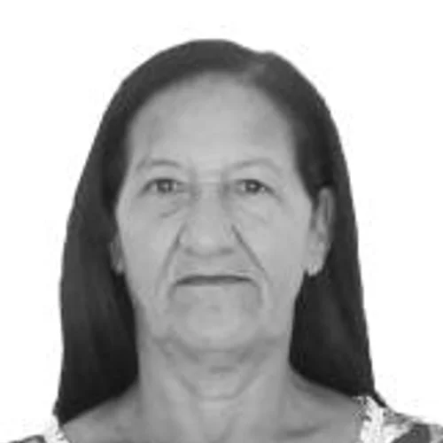 HORTÊNCIA