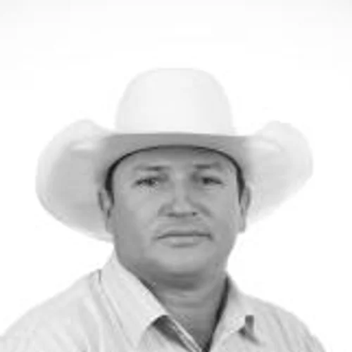 TOIM FERNANDES
