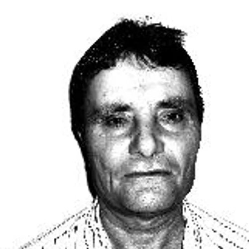 Tauzinho