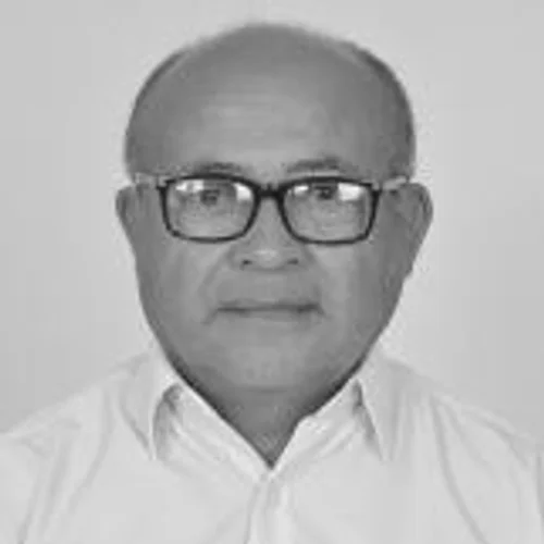 Luiz Professor