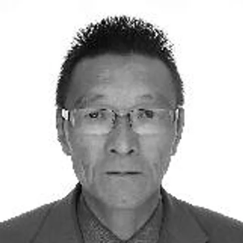 Wilson Japones