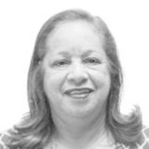 ANA DO ZE ABELHA
