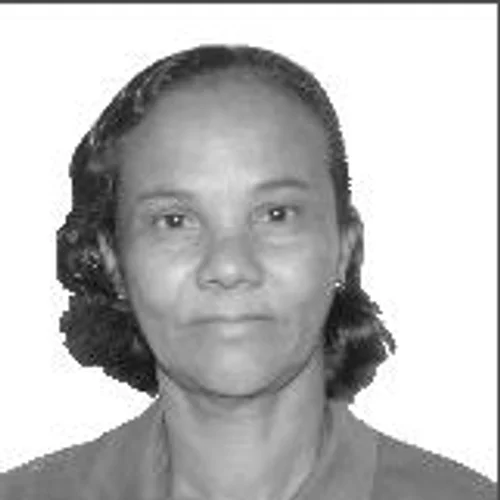 Dona Bi do Areal