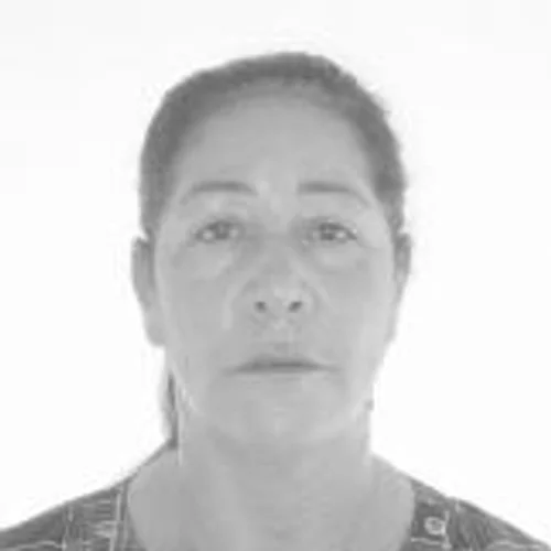 Zeca Ponte