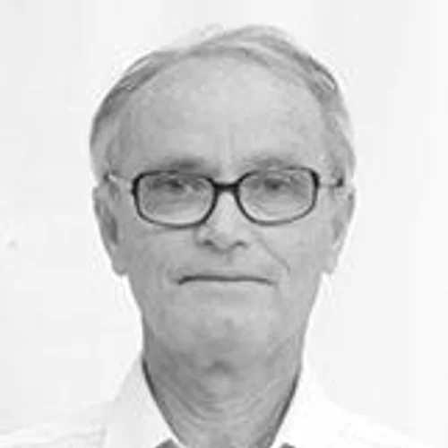NILTON BROSEGHINI