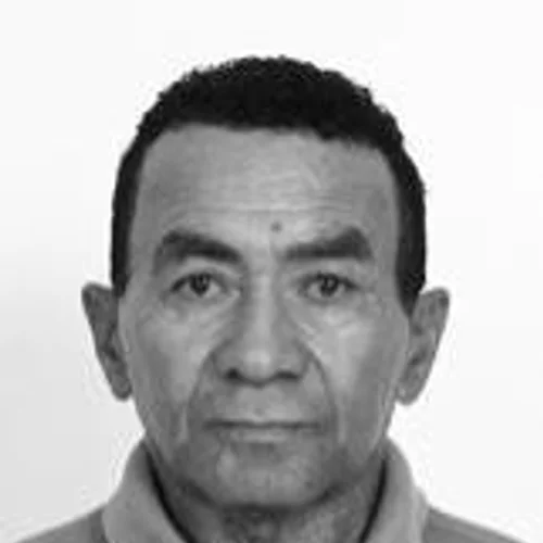 PLININHO DA FEIRA