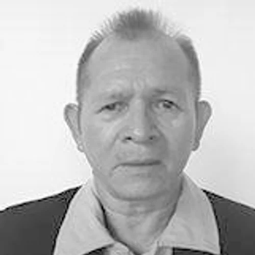Professor Pintinho