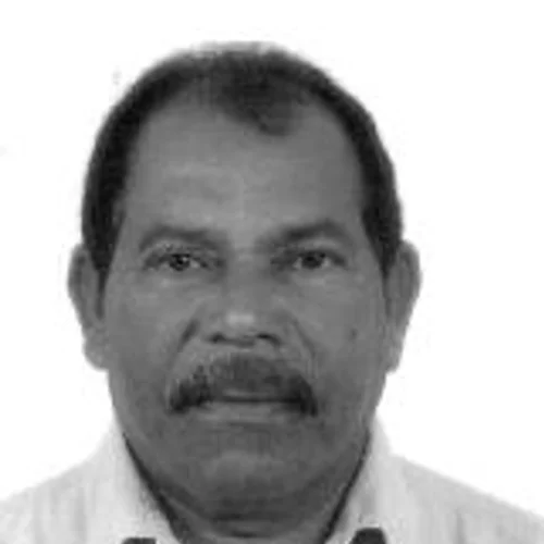 ADEMIR BRIGIDO