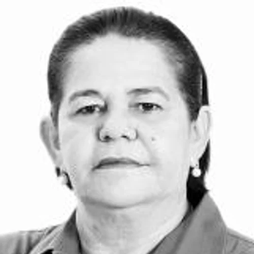 Ediguima Pontes