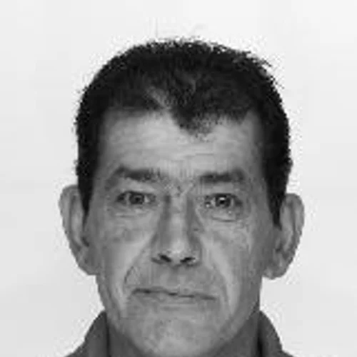 Decio Bortoncello
