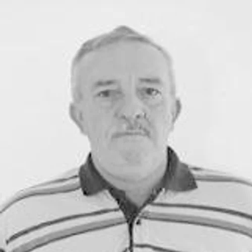 VALMIR ALVES