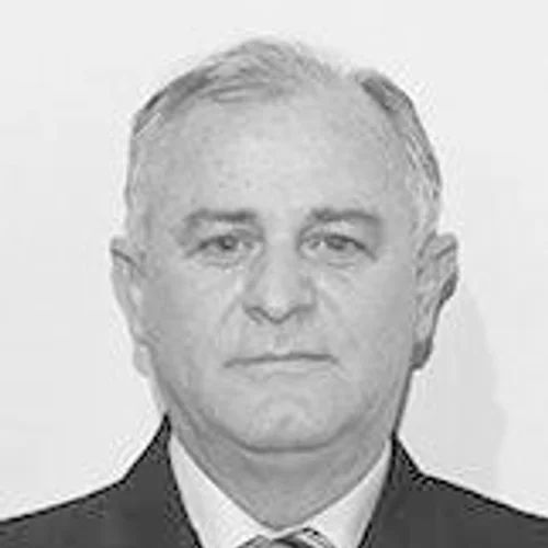 TONINHO DE VIVI