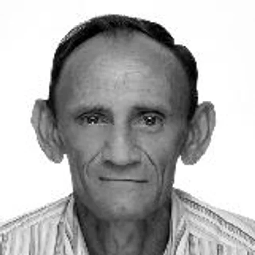 Prof Wilson