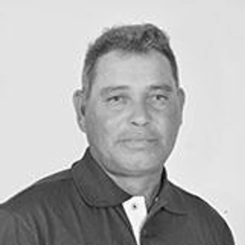 Mauro Brisa