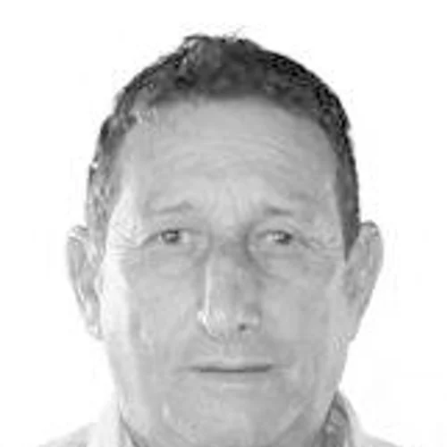 Afonso de Elita
