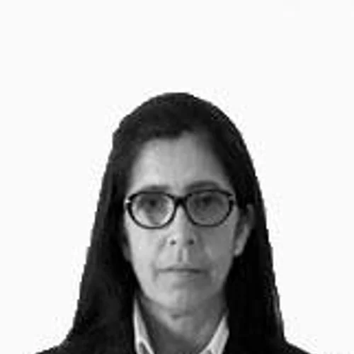 Divaci Bassetto