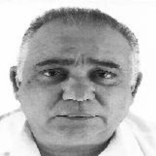 Ti Toninho