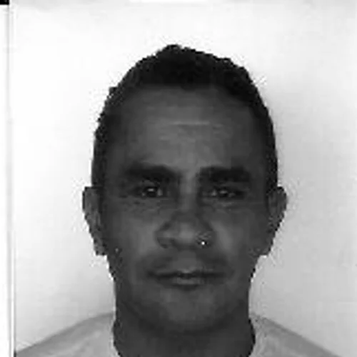 LENO DA PINDOBA