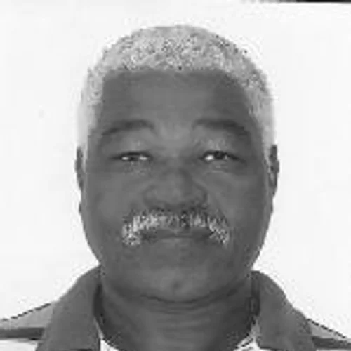Emanuel Araujo