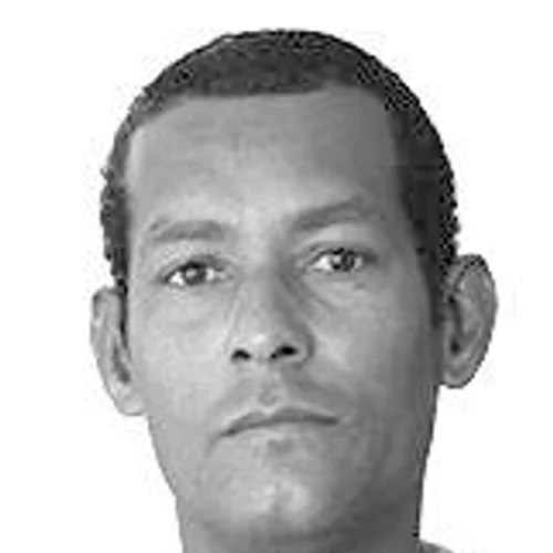 BINO CARTEIRO