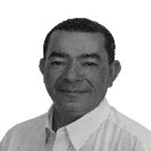 Louro de Jararaca
