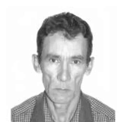 ZÉ PEDREIRO
