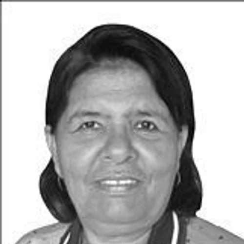 PROFESSORA ELZA