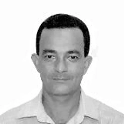 Bole