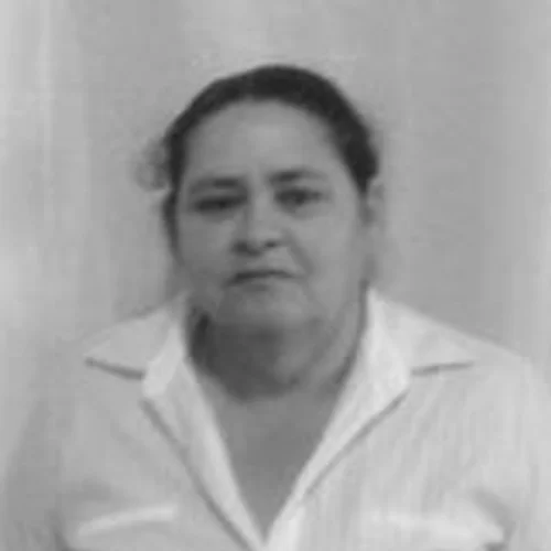 Terezinha Leonel