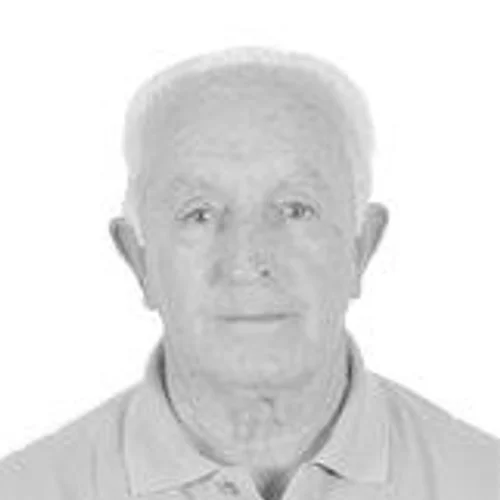 Alcides Camargos
