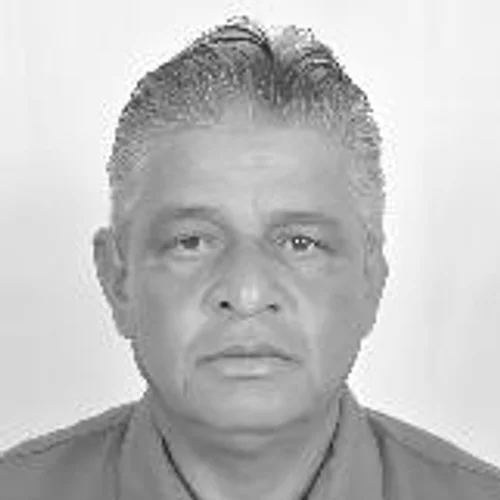 Dinaldo Pedreiro