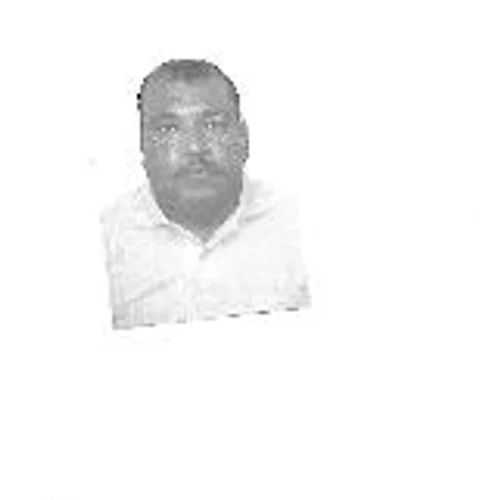 Claudemir Silva
