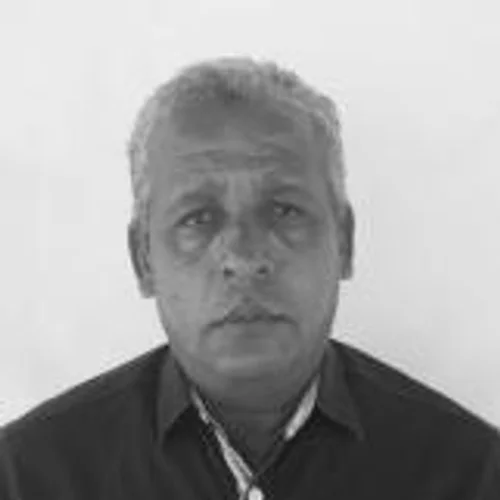 LUÍS CRISTINO