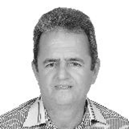 Zebin Brizon