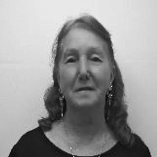 Professora Dilvete