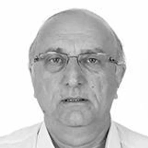 Zé Vendramini