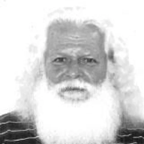 PAPAI NOEL
