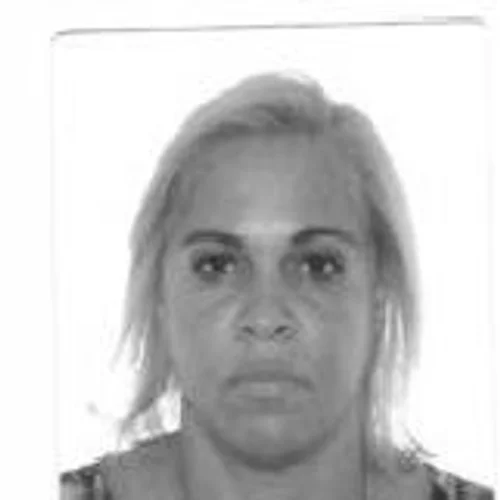 Marcia da Van Escolar