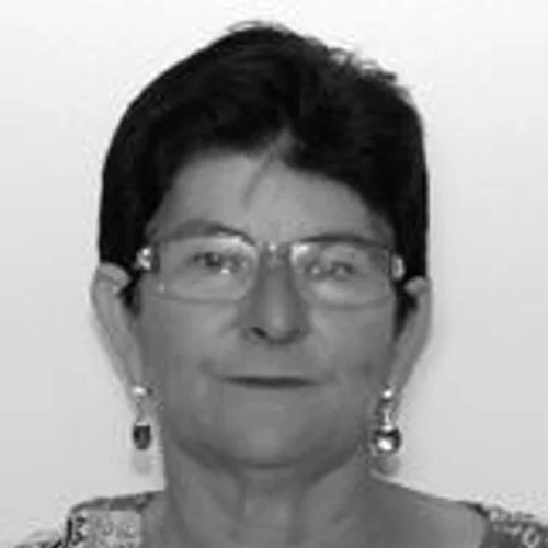 Rosa do Dirceu