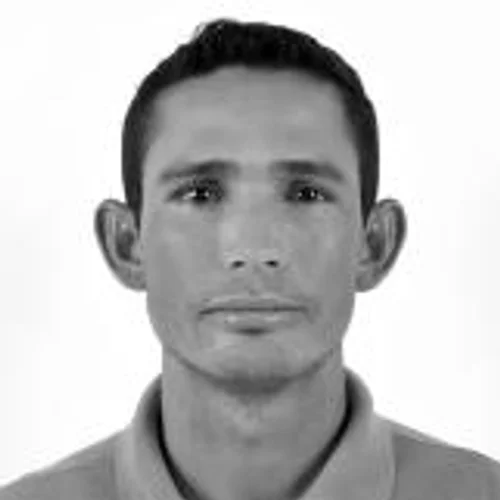 FERNANDO PINGUIM