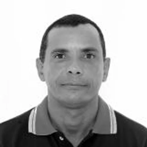 TONHO GAMBIARRA