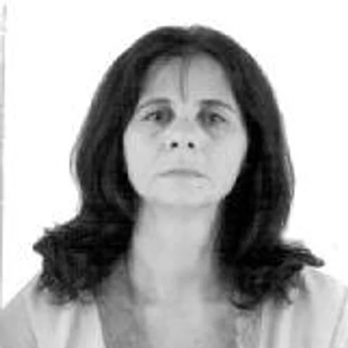 Zitinha do Fênix