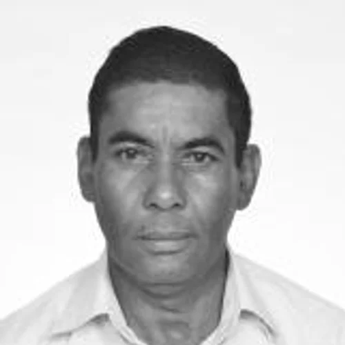 Tigrão