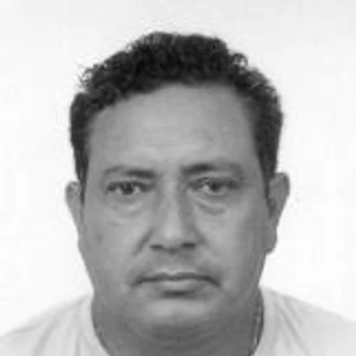 TEIXEIRA DA LARANJA