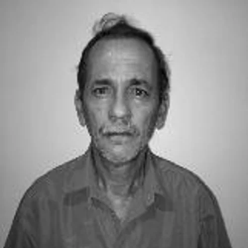 RENATO LINS