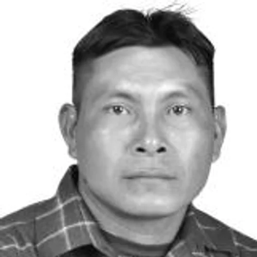 Lino Pinheiro